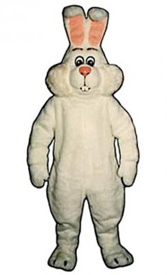 c53-white-rabbit