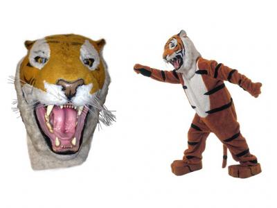 c6-tiger
